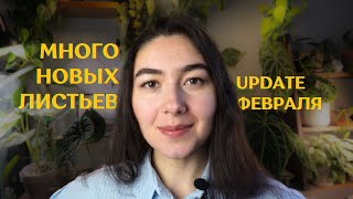 Мои РАСТЕНИЯ ЗИМОЙ | ЦВЕТОЧНЫЕ обновления и МИНИ-ОБЗОР растений