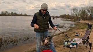 Фидерная рыбалка в Польше недалеко от Варшавы! Хороший улов крупной плотвы и леща на реке Нарев!