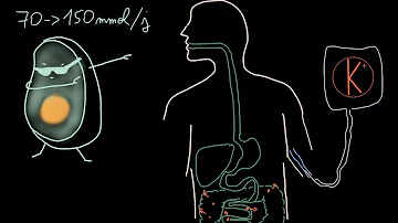 C'est quoi une hyperkaliémie ?