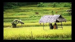 Seruling Sunda Paling Merdu - Tak Ada Duanya  - Durasi: 17:00. 