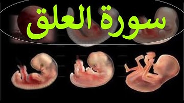 تلاوة سورة العلق كاملة للقارئ احمد الشبلي | surah AlAlaq