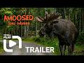 Amoosed: losí odysea (2025) HD trailer