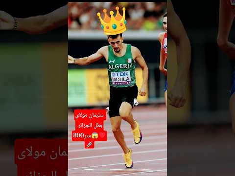 البطل الجزائري سليمان مولا لم يتاهل الى نصف نهائي سباق 800 متر بطولة العالم طوكيو 2025 بسبب وقوع