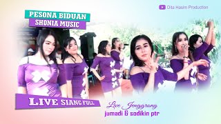 new shonia lumajang terbaru 2022 | seni seni senimai song shonia music terbaru