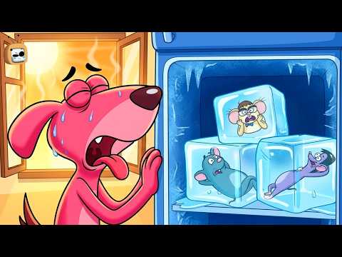 Dog Hides in the Freezer to Escape the Summer Heat! : Dog vs Rats | Doggy Don | Rat A Tat