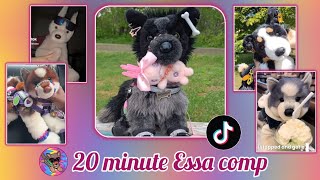Essa Comp To Watch With Your Essa 20 Minute Essa Comp Credit To All Orginal Owners