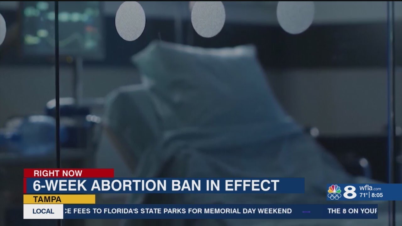 How Florida's 6-week ban impacts abortion medication