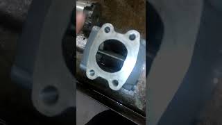 Double vane pump