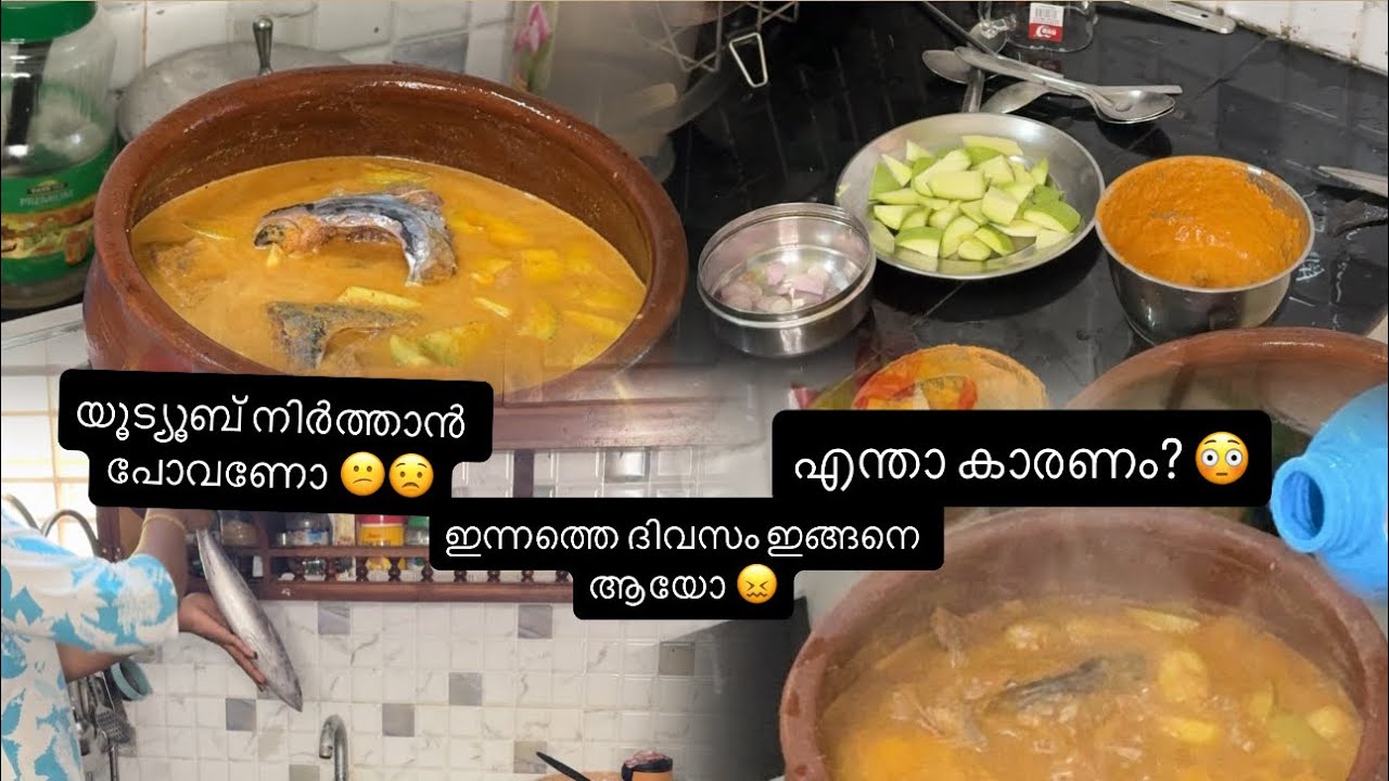 എന്ത് കൊണ്ടു യൂട്യൂബ് നിർത്താൻ പോകുന്നു? Views ആണോ പ്രശ്നം 😳😟