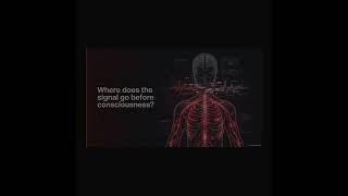 The Mechanoelectric Secret: How Your Body Reads Hidden Data (Pacinian Science)