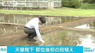 天皇陛下が初のお田植え　上皇さまから受け継いだ苗(19/05/20)