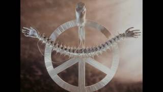 Carcass - Heartwork [Title track - Lyrics in description]