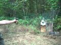 Zombies 45 acp dualwield