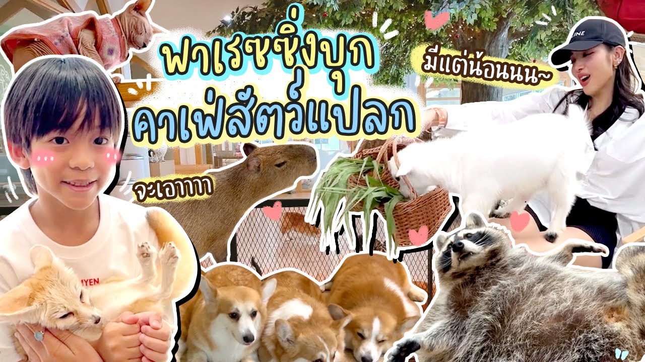 พึ่งรู้ว่า กรุงเทพก็มีคาเฟ่สวนสัตว์ด้วย น้อนๆเยอะมากกกก พี่เรสจะทนได้ไง!!!