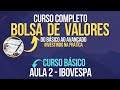 Aula 2 - IBOVESPA - Curso Completo de Bolsa de Valores Do Básico ao Avançado - Ações e Dividendos