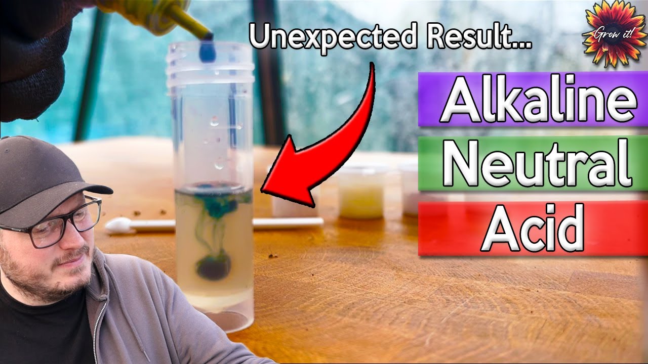 How To Check Soil pH Level Using A Reagent Kit - Unexpected Results ...