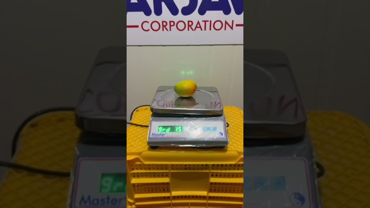 Our Infrastructure: Sorting Grading Machine – Ensuring Consistent Quality, One Mango At a Time