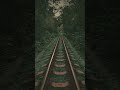 #Walk alone ⭐🎶 with #minecraft #dream #horror #your favourite songs