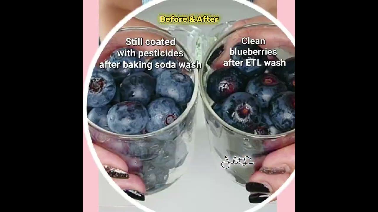 How to remove pesticides residues from blueberries? Ecofriendly Truth