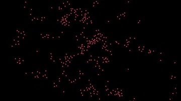 Boids: Flocking Algorithm