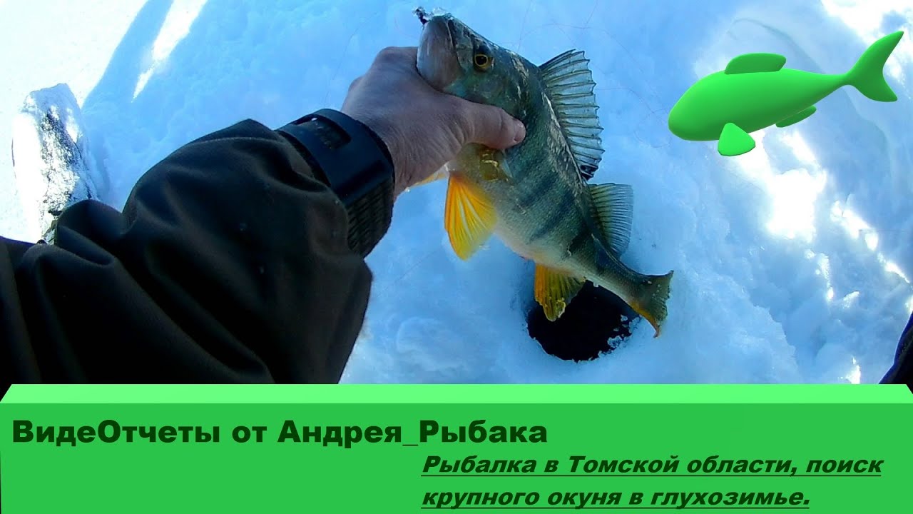 Ока кузьмищево рыбалка