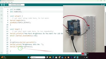 Read User Input From the Serial Monitor