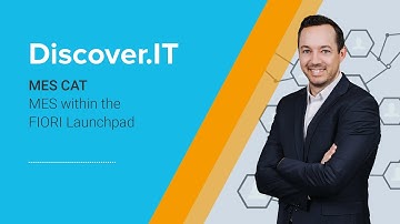 MES CAT – within the FIORI Launchpad