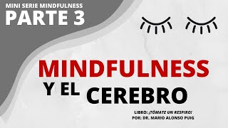 #19 (P3)►Cómo afecta el MINDFULNESS en el cerebro | ¡Tómate un respiro! Por el Dr. Mario Alonso Puig