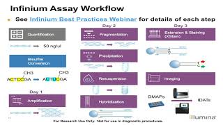Illumina Infinium Methylation: Analysis and Reporting Review