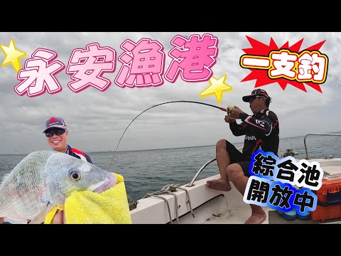 永安漁港一支釣，活蝦勾下去，大海無限可能。什麼都有，什麼都不奇怪。老闆放魚嘍！#永安漁港 #桃興號#一支釣