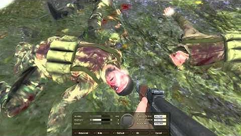 [SOLVED] ArmA 2 & ArmA 2 OA [Graphics problem].