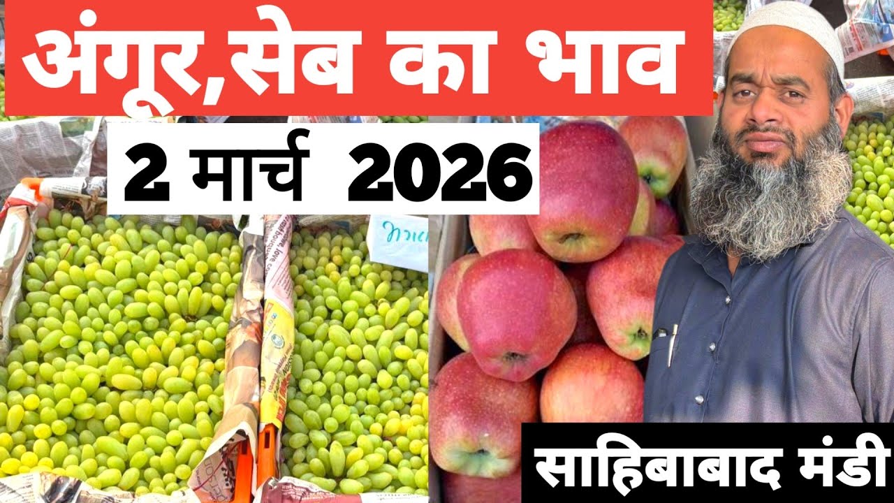 2 March 2026 🍇 अंगूर का भाव साहिबाबाद मंडी ॥ Today Grapes Rate in Sahibabad Mandi || Bharat ke Bazar