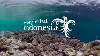 Wakatobi's Adventurous Wonder