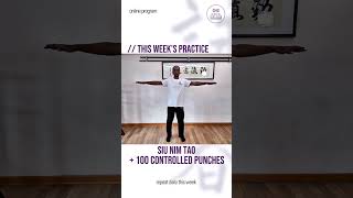 Siu Nim Tao + 100 Controlled Punches 👊🏻Weekly Wing Chun Challenge