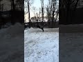 A little shenanigans from the last snow fall