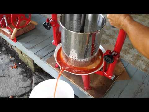 Juicing