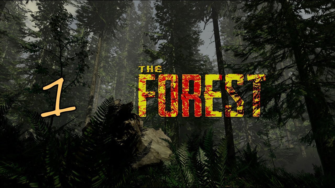 The Forest - Partie 1