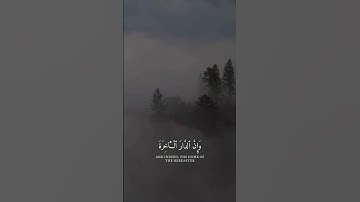 -اجر - #quran #تلاوات #تلاوة #تلاوة_خاشعة #تلاوة_هادئة #قرآن #قران_كريم