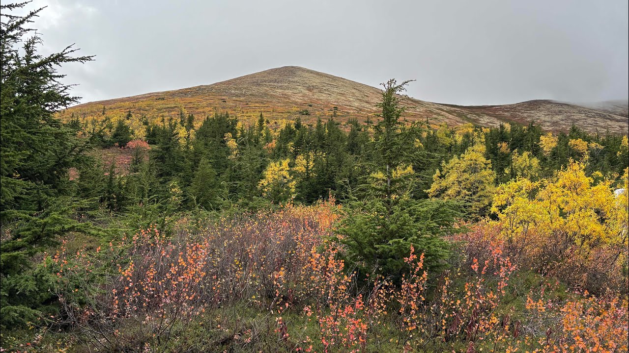 Chugach Mountain Range @ Optimism