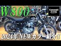 「W800」2024年1月20日発売のNEWカラーをご紹介致します!カワサキゾーン / KAWASAKI ZONE