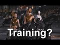 How do the training academies work?