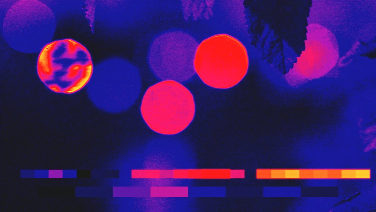 ℜUSTHOL - HAZEDIAL