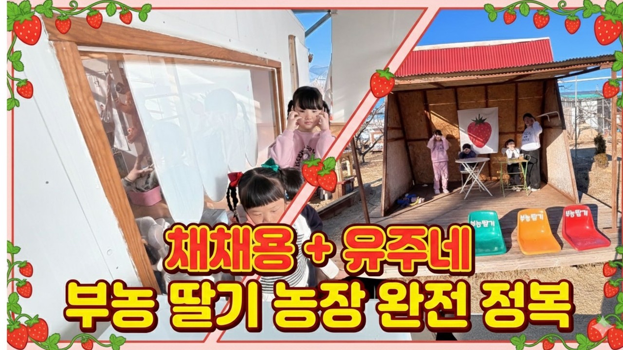 채채용 - 유주와 함께 부농딸기체험농장 방문기