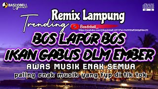 REMIX LAMPUNG TERBARU VIRAL TIK TOK BOS LAPOR BOS IKAN GABUS DALAM EMBER