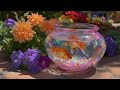 Goldfish Bowl ✨ Nature Sounds ASMR | Aesthetic Visual Art | Part 1