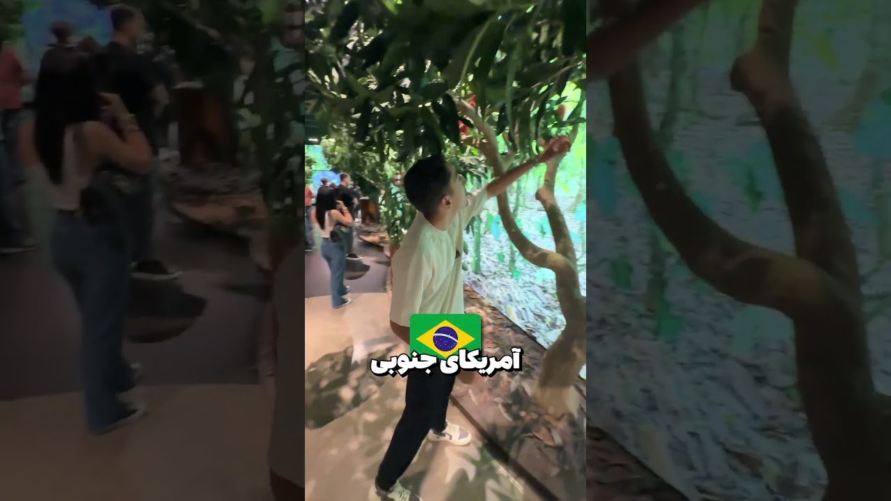#shorts رفتم کارخانه شکلات سازی چارلی 🍫