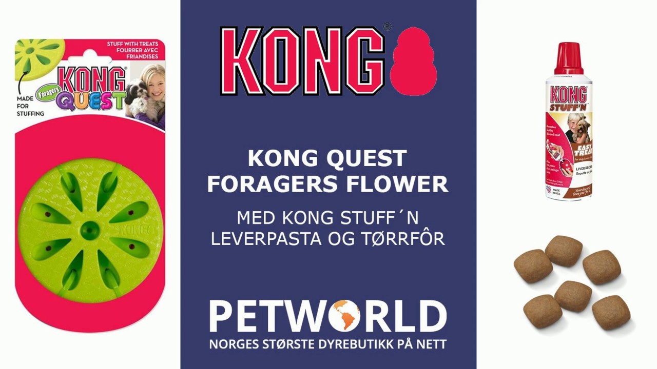 kong quest foragers flower