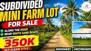 (Vlog#145) Mini farm lot for sale, for only 350k Near white sand beach, 🏖 #retirement  #investment 