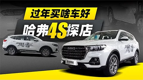 老司机试车：有颜有料有实力，探店哈弗H6国潮版与哈弗M6 PLUS - 天天要闻