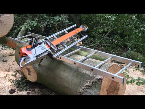 Milling a Huge Beech Tree with the Stihl MS661 and Panther Chainsaw Mill